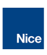 Nice